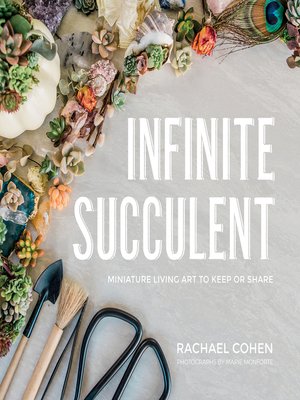 cover image of Infinite Succulent